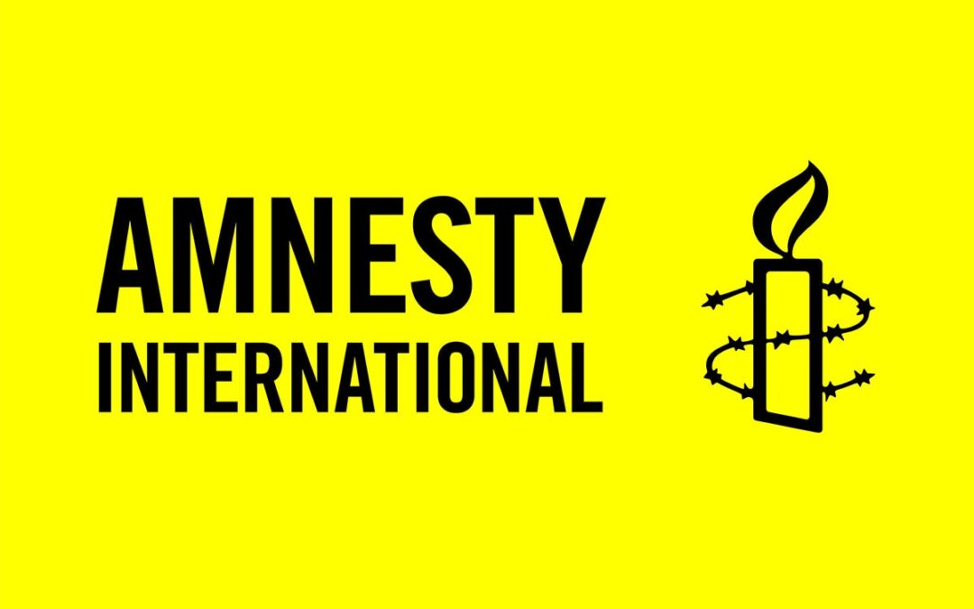 HVORDAN AMNESTY DEMOKRATISEREDE DERES DATA MED CRM