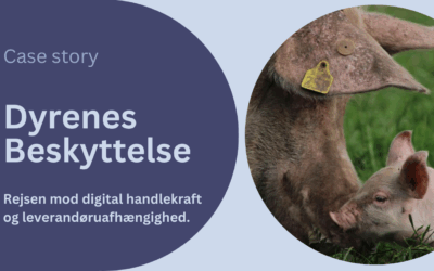 Dyrenes Beskyttelse digitaliserer for fremtiden – til gavn for dyr og medlemmer