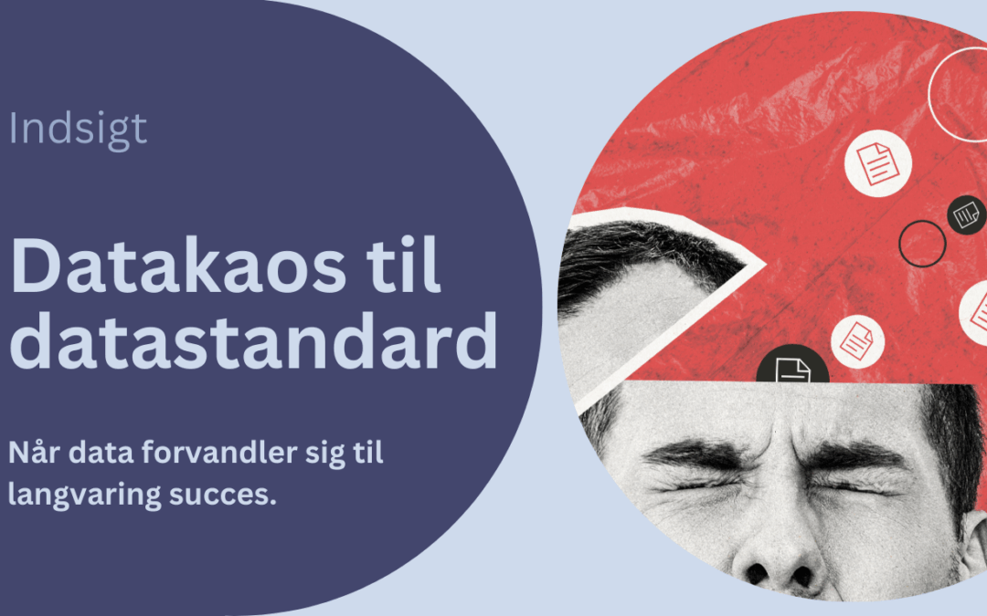 Fra datakaos til klare retningslinjer: Hvorfor datastandarder er nøglen til langvarig succes