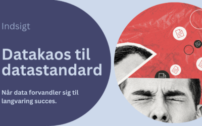 Fra datakaos til klare retningslinjer: Hvorfor datastandarder er nøglen til langvarig succes