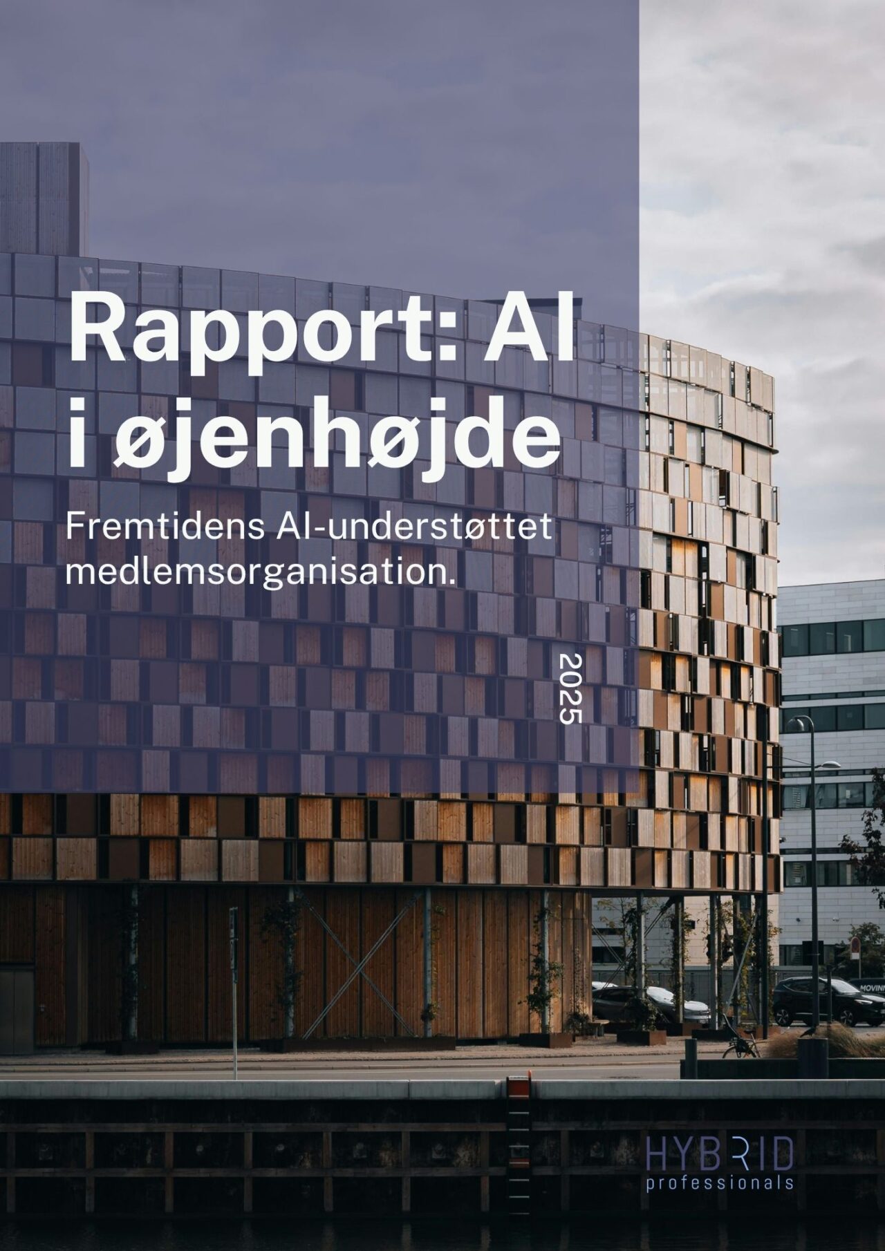 Ia Rapportering Rapport: AI i medlemsorganisationer - Hybrid Professionals