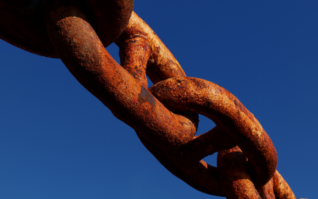 One size doesn’t fit all: Hvorfor et tilpasset CRM er en strategisk nødvendighed